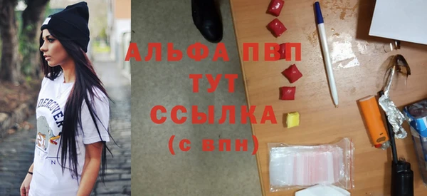 гидра Каменногорск