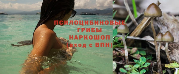 не бодяженный Алексин