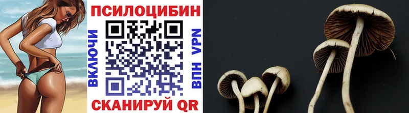 Псилоцибиновые грибы мицелий  Домодедово 